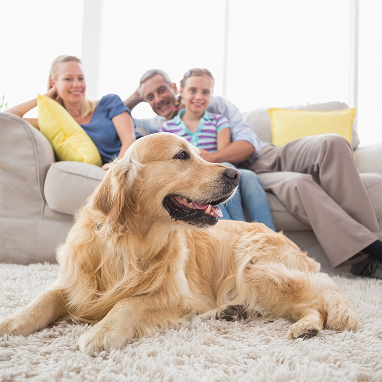 Happy family with golden retriever
