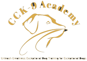 CCK9-Academy-Logo-scaled-e1746042295480 copy